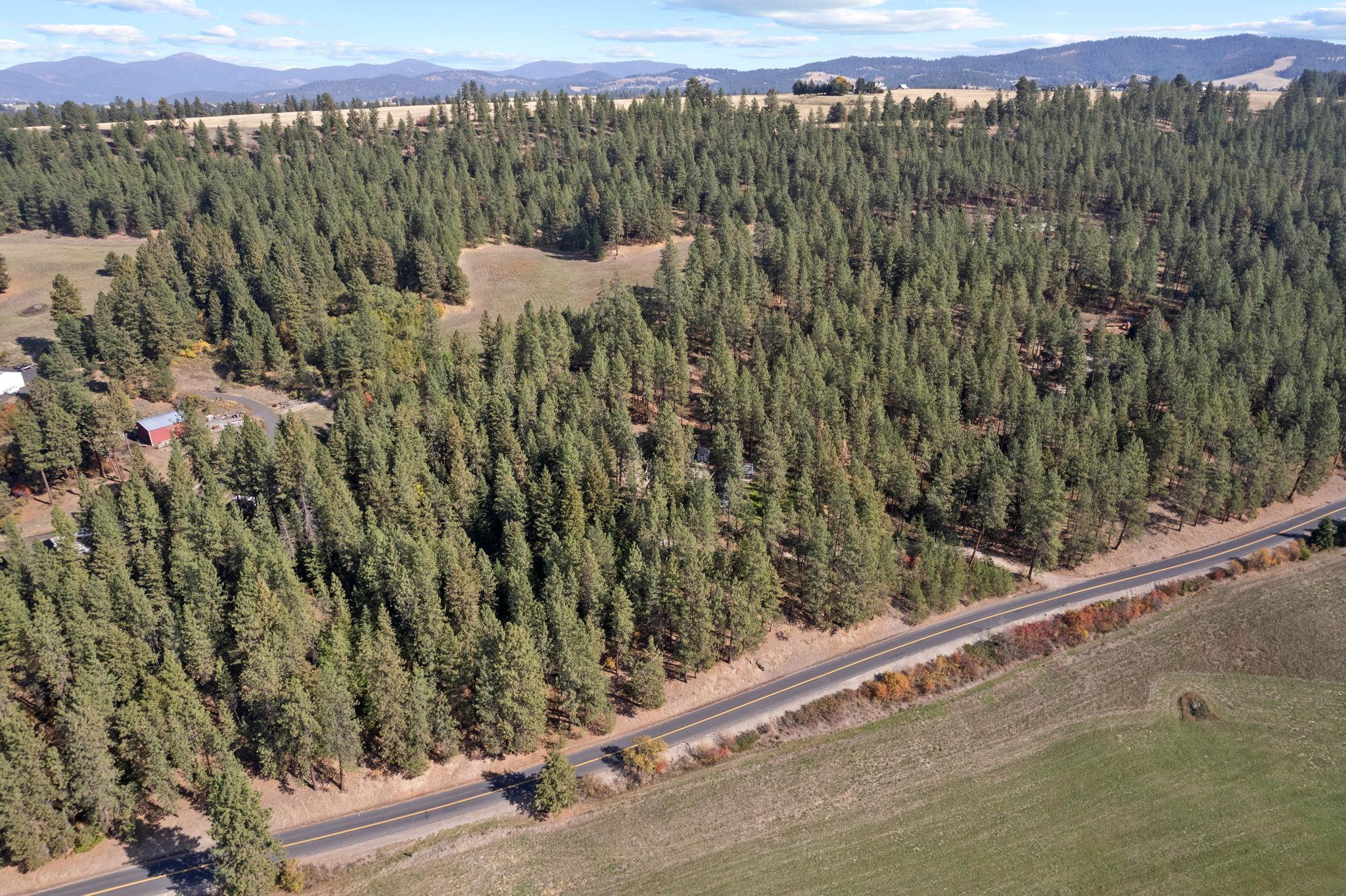 11923 East Moffat Road Mead, WA 99021 - Photo 49 of 50