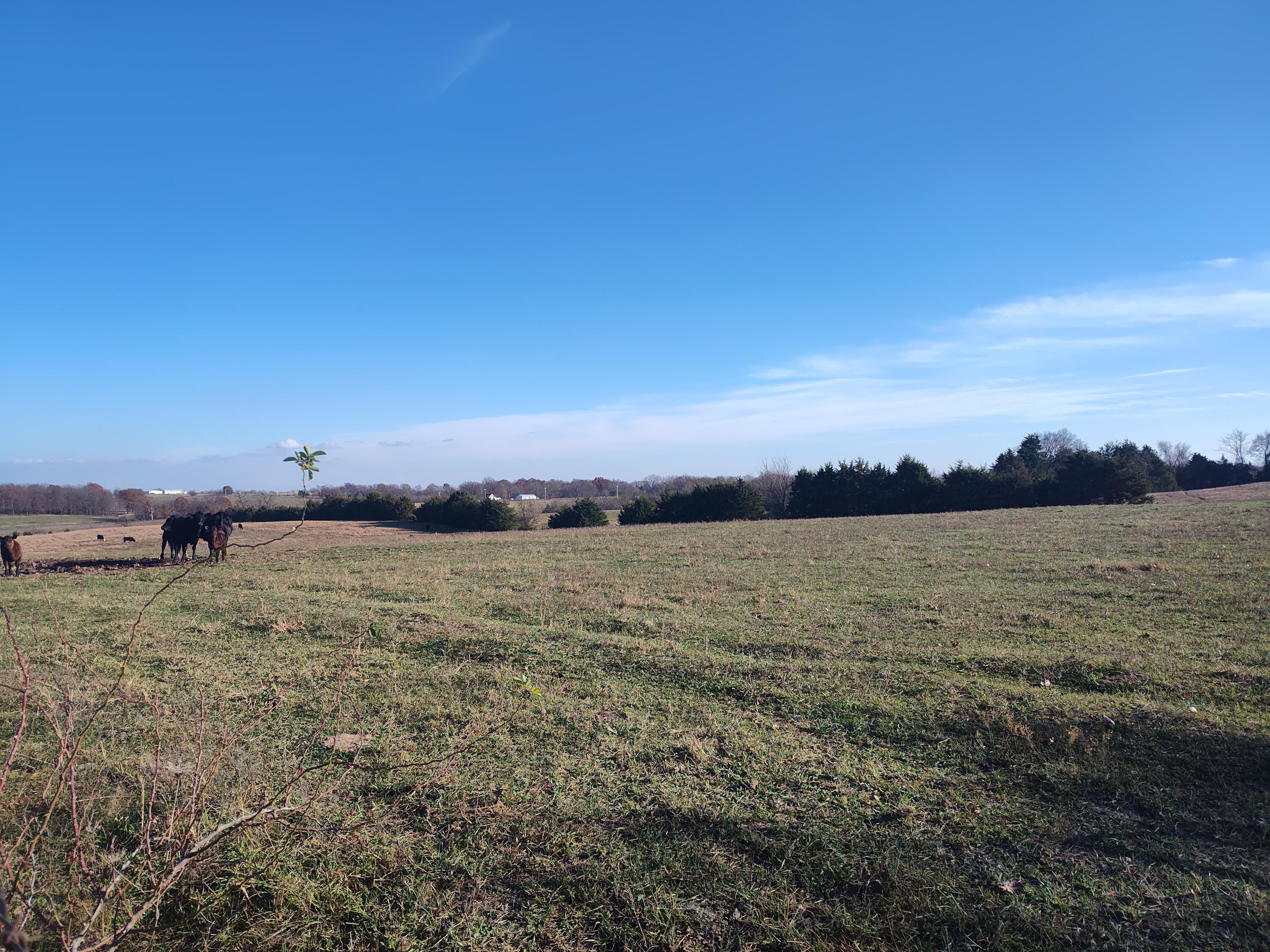 1672 East 355th Road Bolivar, MO 65613 - Photo 72 of 92 Land 15