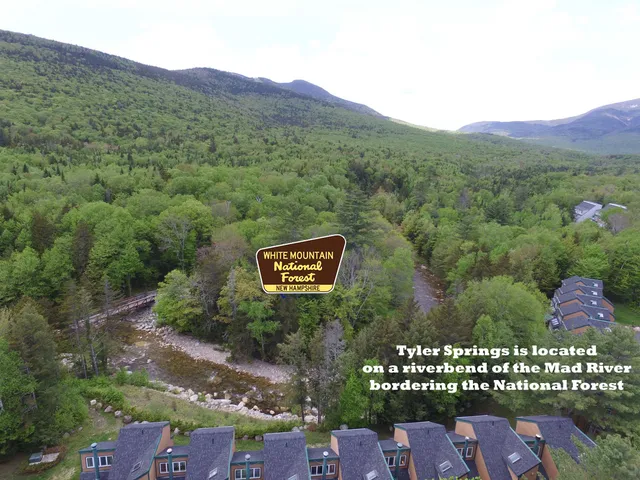 $2,700 | 28 Tyler Spring Way, Unit 20, Waterville Valley, NH 03215