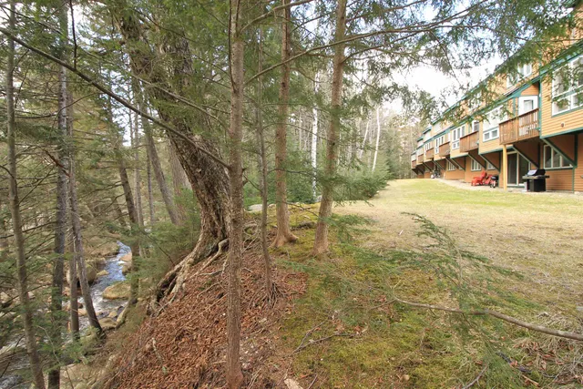 $2,700 | 28 Tyler Spring Way, Unit 20, Waterville Valley, NH 03215