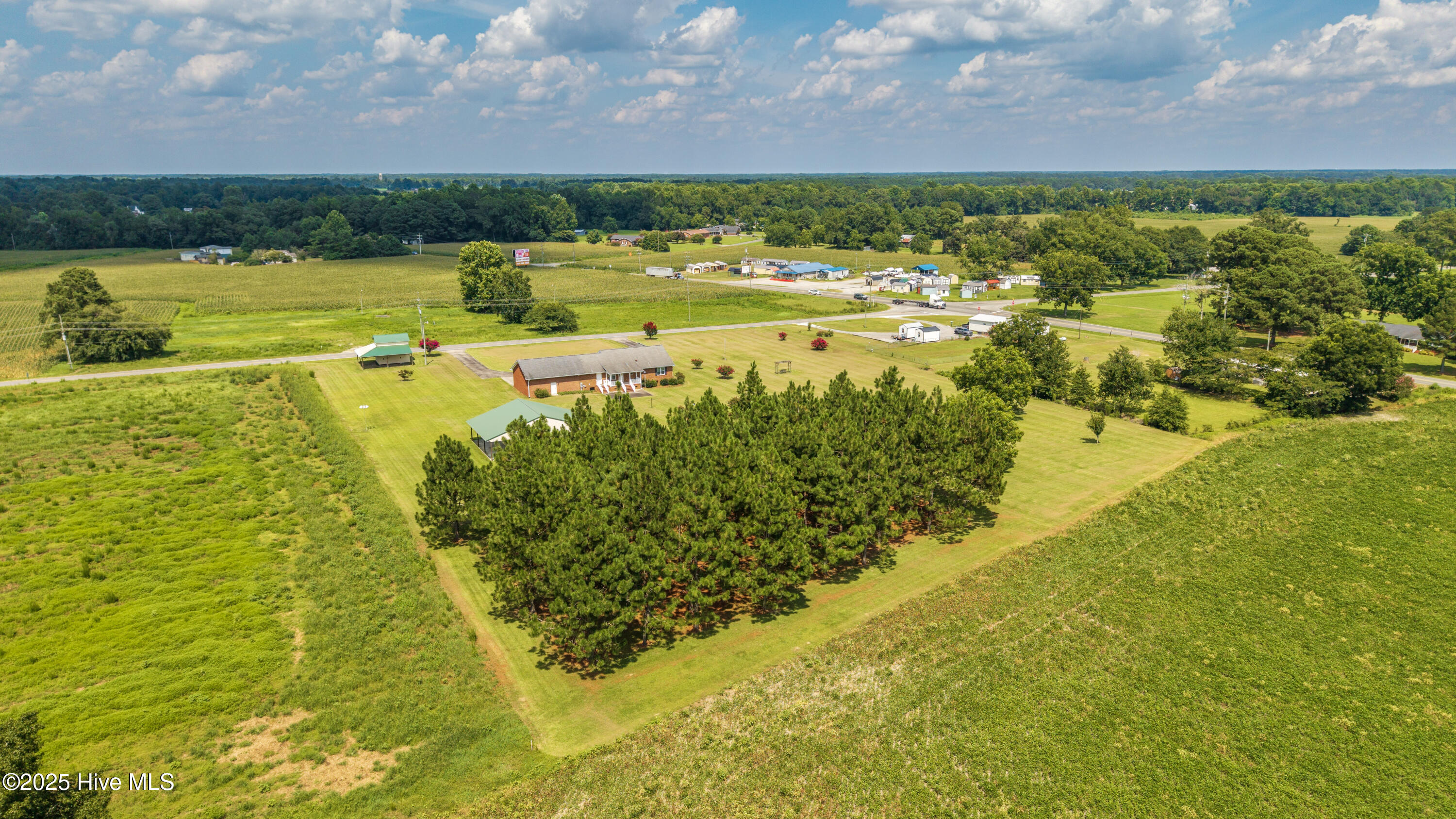 856 Jackson Store Road Beulaville, NC 28518 - Photo 57 of 65 63