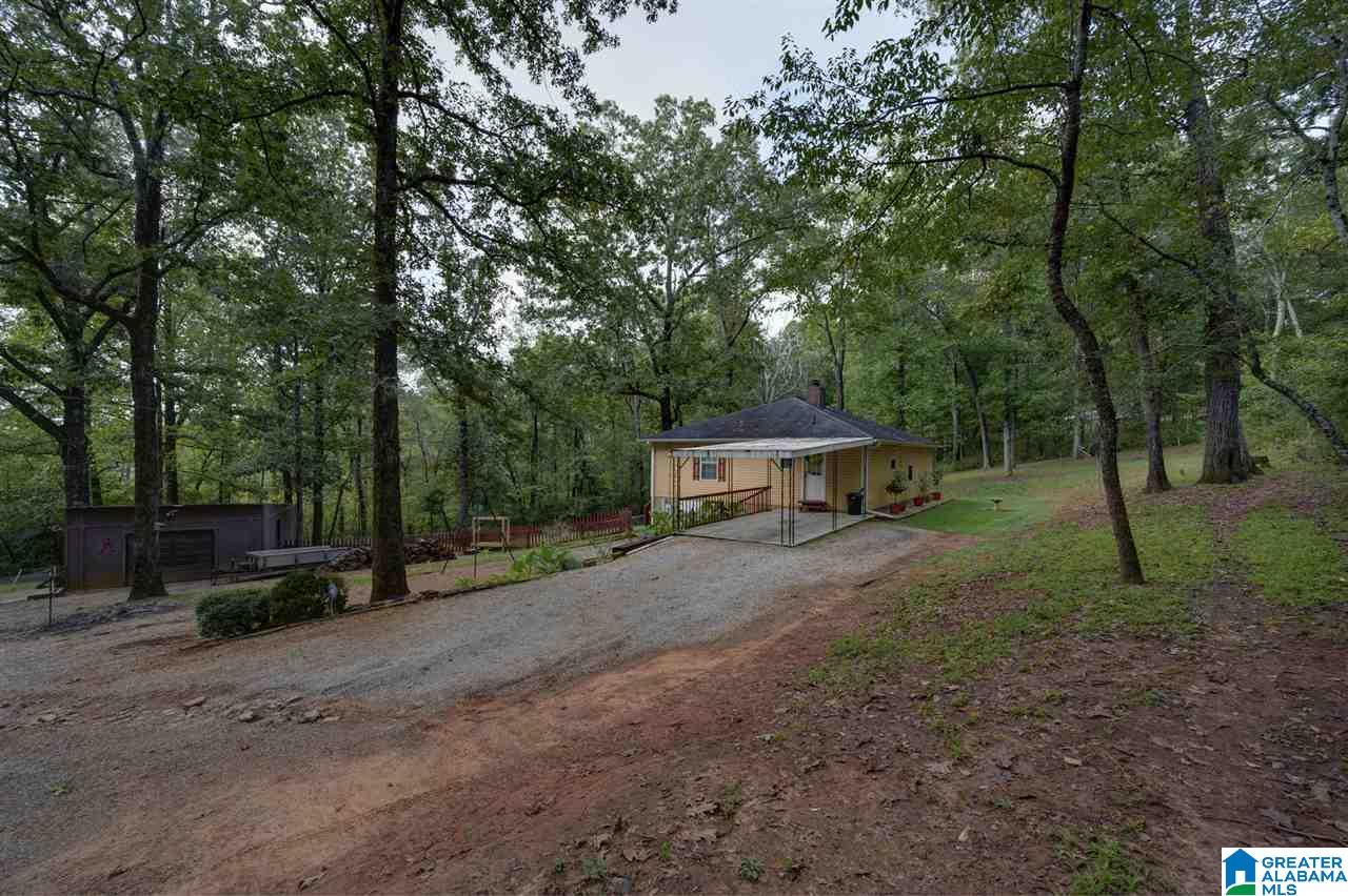6125 Mountain Ridge Road Trussville, AL 35173 - Photo 8 of 28