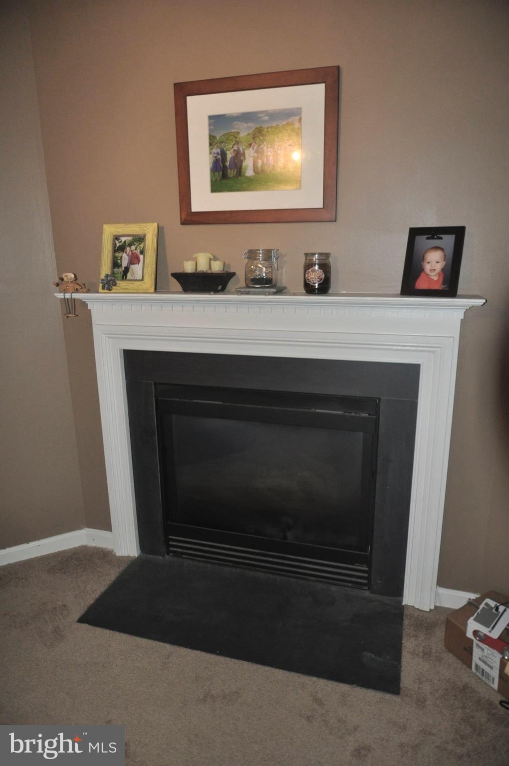 662 McLeary Square Southeast Leesburg, VA 20175 - Photo 22 of 30 Corner gas fireplace in basement Rec Rm.