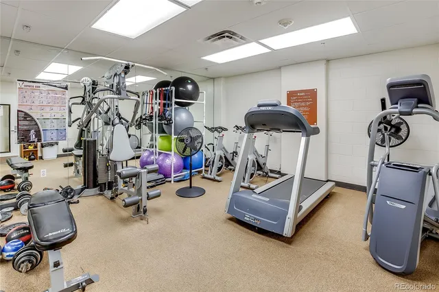 a bedroom with a bed a couch and a window