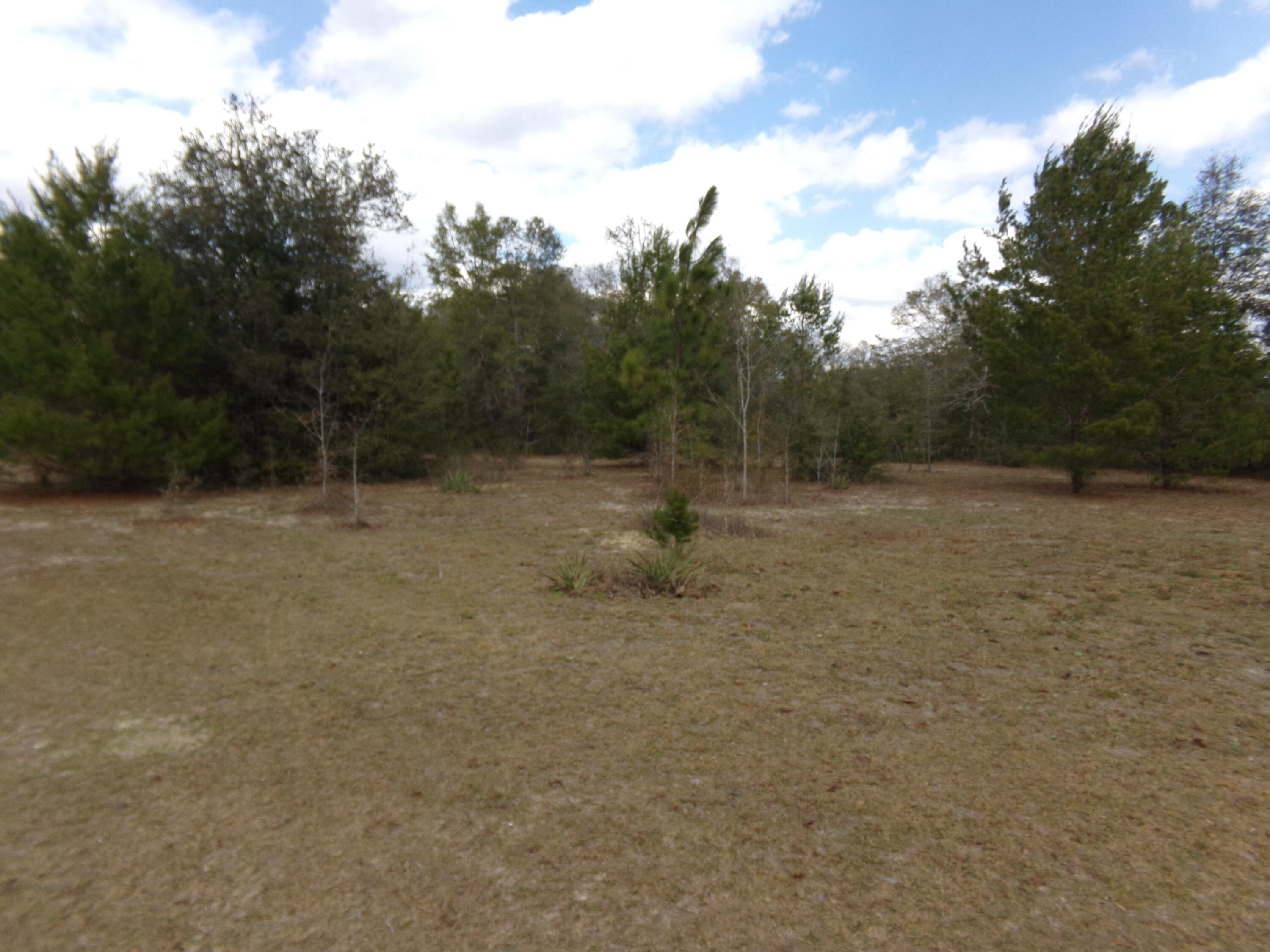 4071 Painter Branch Road Crestview, FL 32539 - Photo 31 of 64 a view of a field with trees in the background