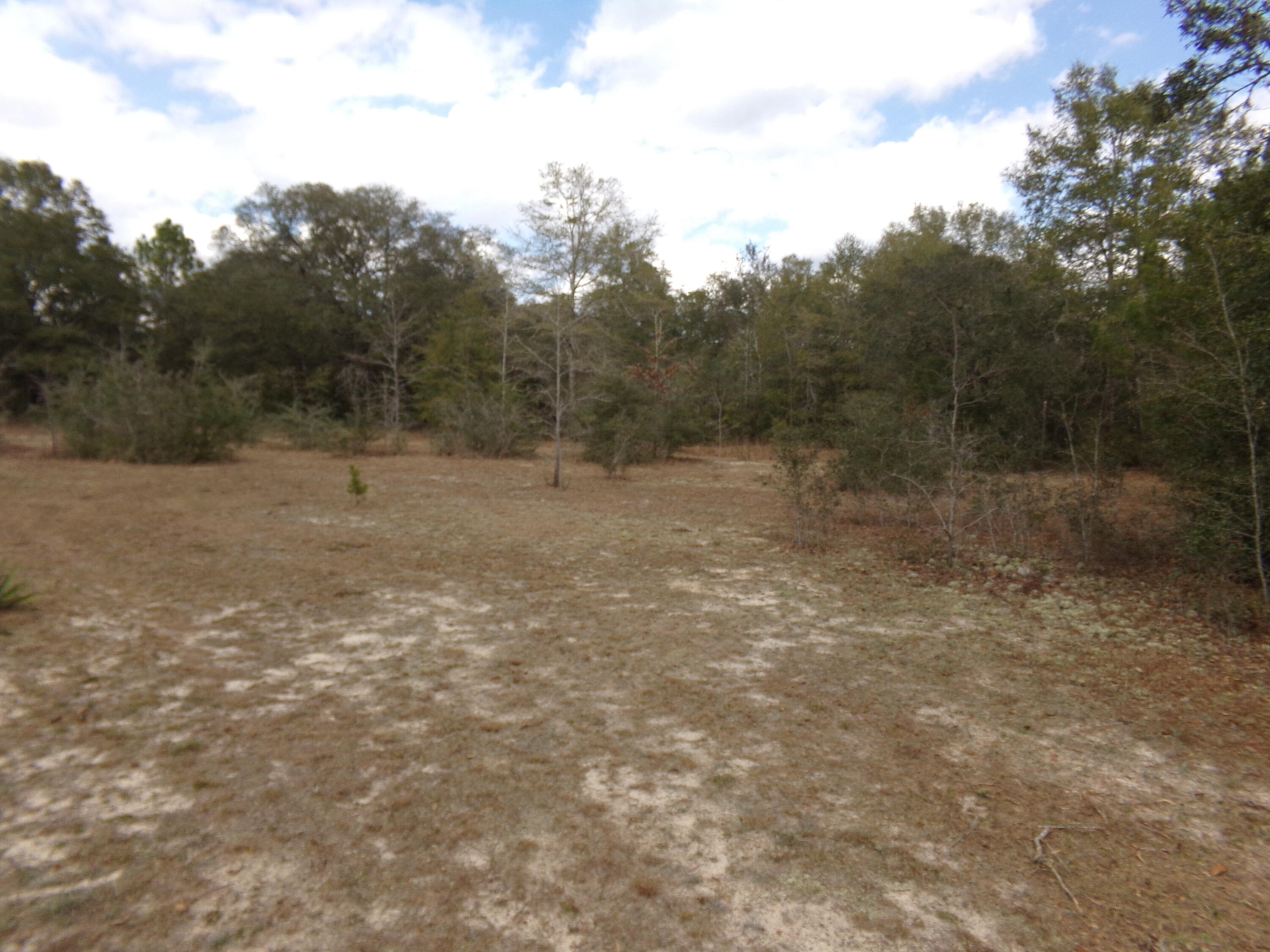 4071 Painter Branch Road Crestview, FL 32539 - Photo 32 of 64 a view of a field with trees in the background