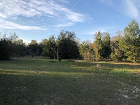 4071 Painter Branch Road Crestview, FL 32539 - Photo 49 of 64 IMG_20240321_135323
