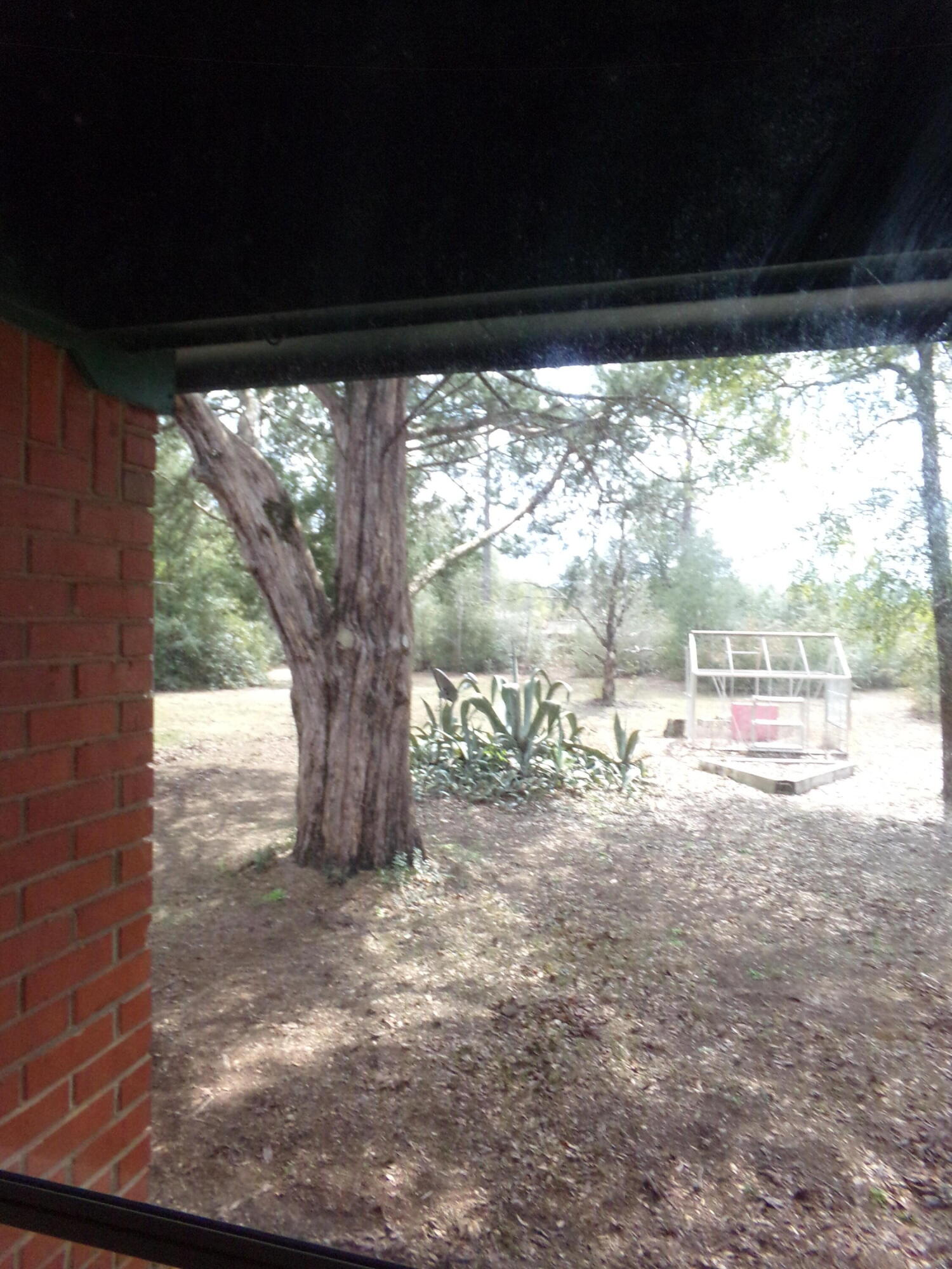 4071 Painter Branch Road Crestview, FL 32539 - Photo 5 of 64 100_4258