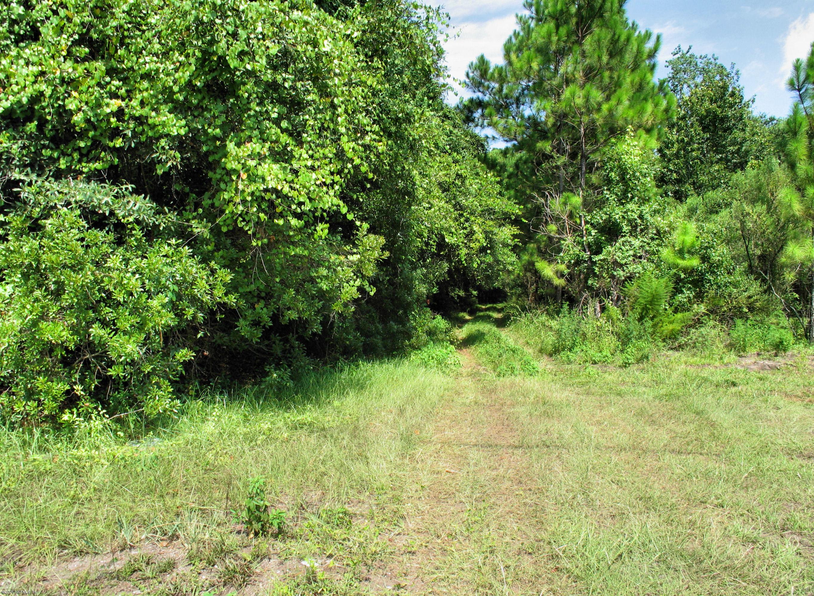 10420 Crystal Road Jacksonville, FL 32221 - Photo 1 of 4 Property View -VG
