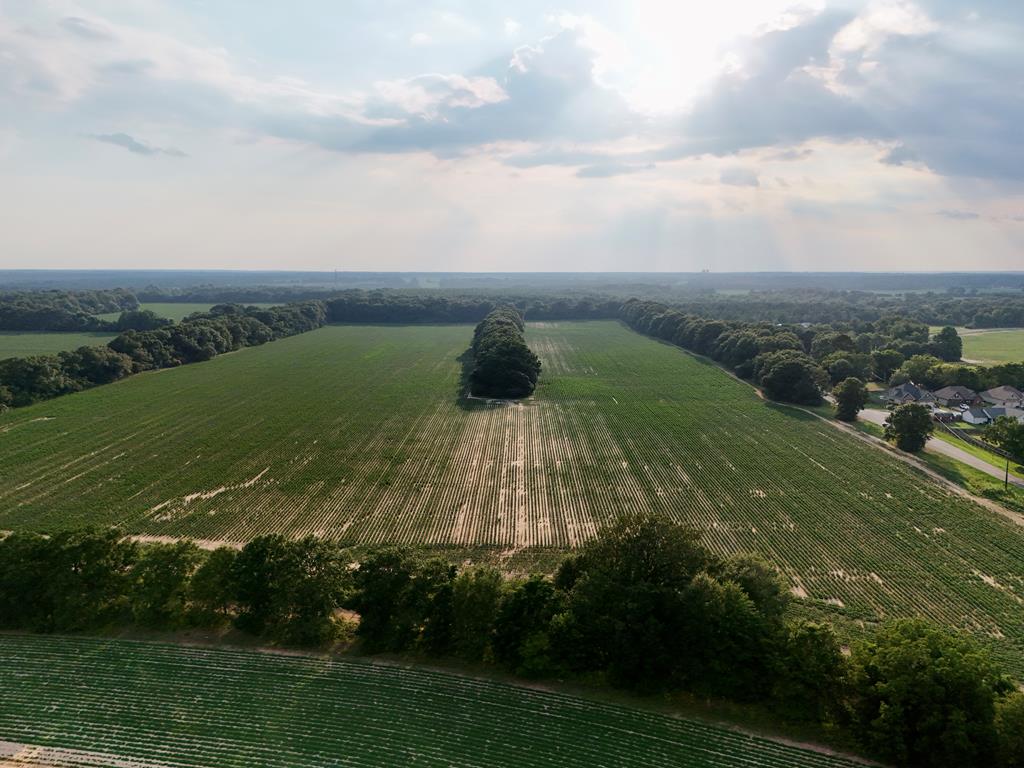 25 & Barrington Road Midland City, AL 36350 - Photo 11 of 21