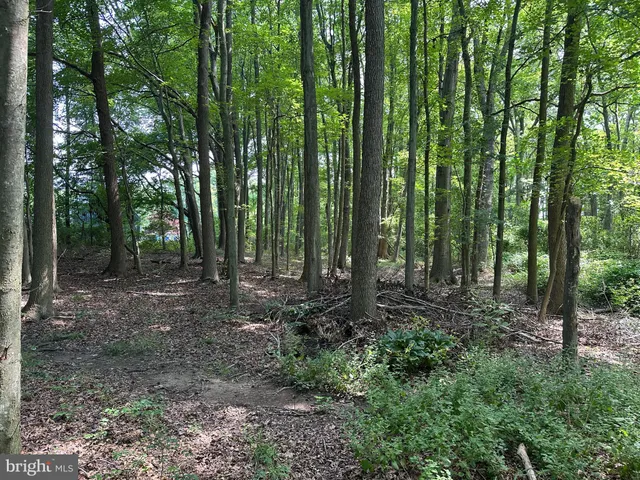 a view of outdoor space and green space