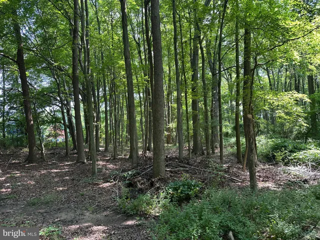 a view of outdoor space and green space