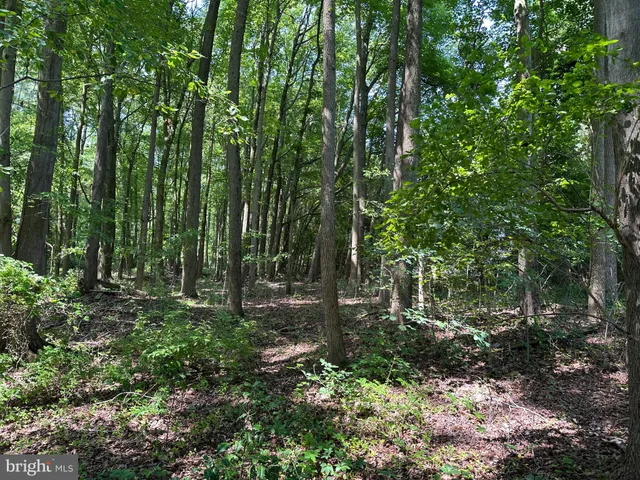 a view of outdoor space and green space