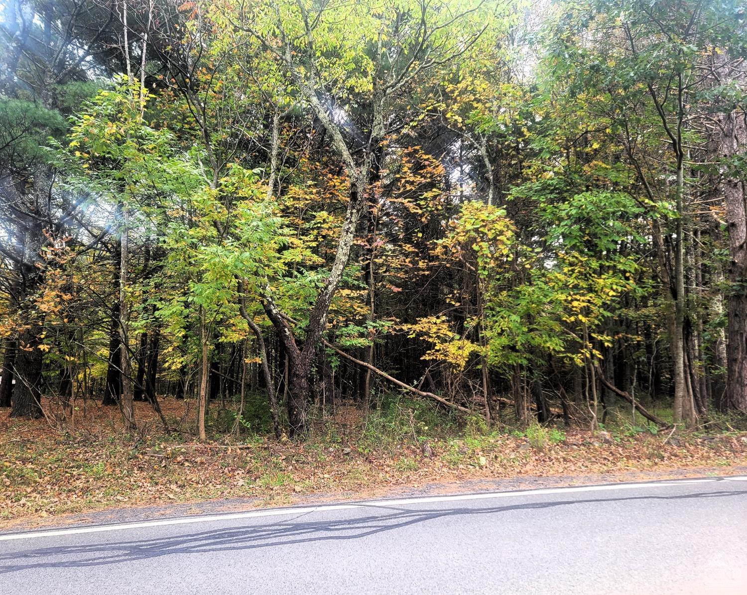 0 Hearts Content Road Round Top, NY 12473 - Photo 3 of 10 a backyard of a house with lots of green space