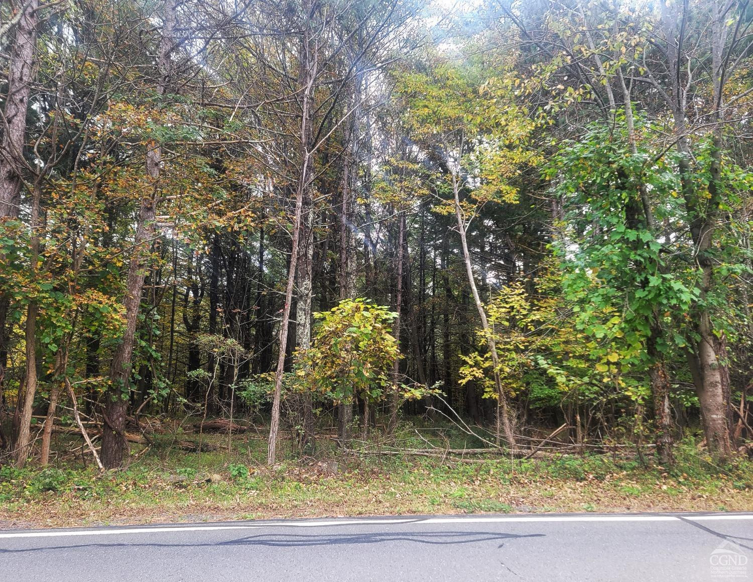 0 Hearts Content Road Round Top, NY 12473 - Photo 4 of 10 a view of swimming pool with a yard