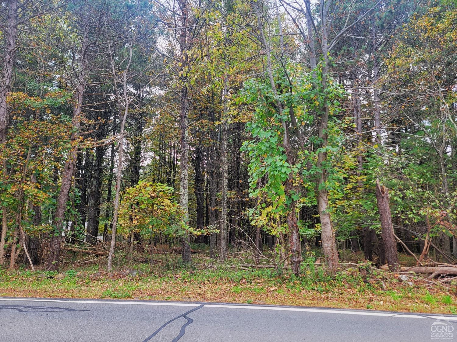 0 Hearts Content Road Round Top, NY 12473 - Photo 5 of 10 a view of swimming pool with a yard