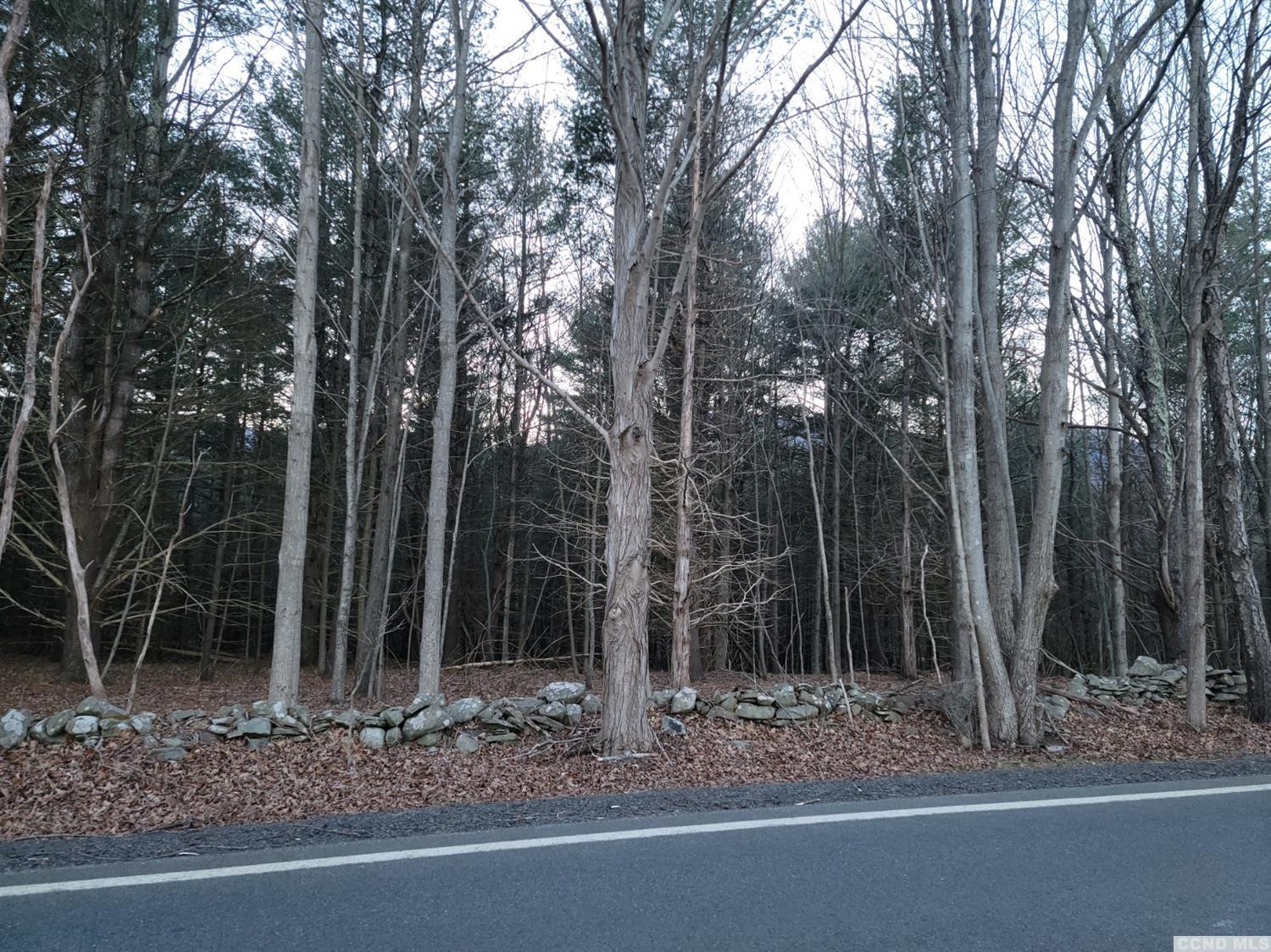 0 Hearts Content Road Round Top, NY 12473 - Photo 6 of 10 a backyard of a house with lots of trees