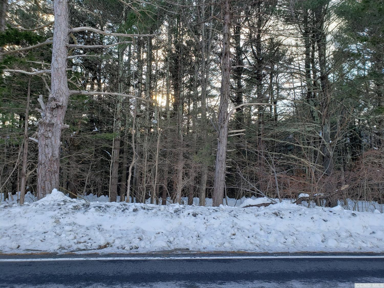 0 Hearts Content Road Round Top, NY 12473 - Photo 7 of 10 a view of a backyard