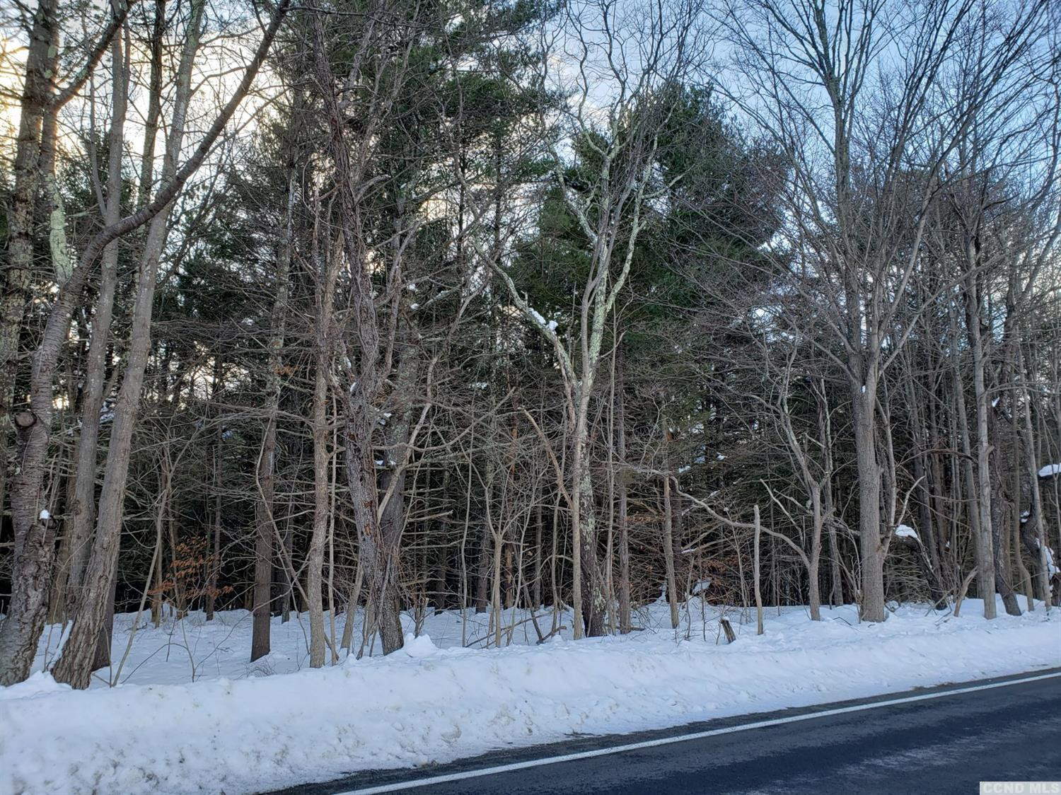 0 Hearts Content Road Round Top, NY 12473 - Photo 8 of 10 a view of a yard