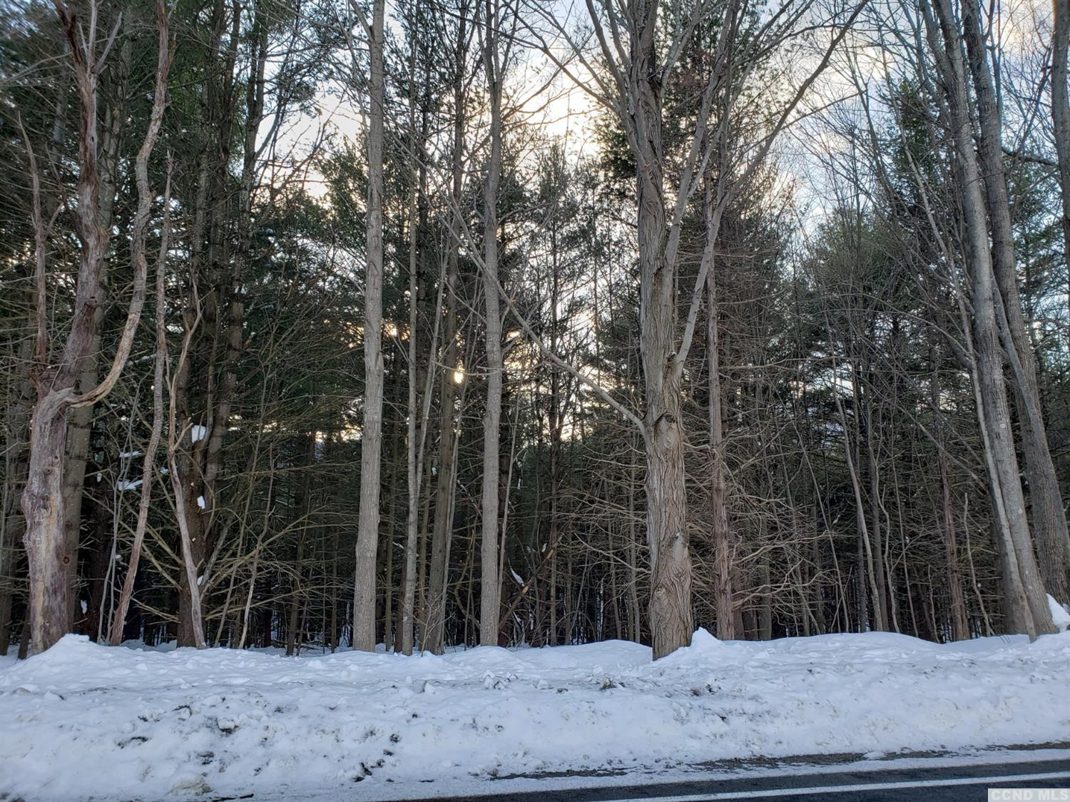 0 Hearts Content Road Round Top, NY 12473 - Photo 9 of 10 a view of a large trees