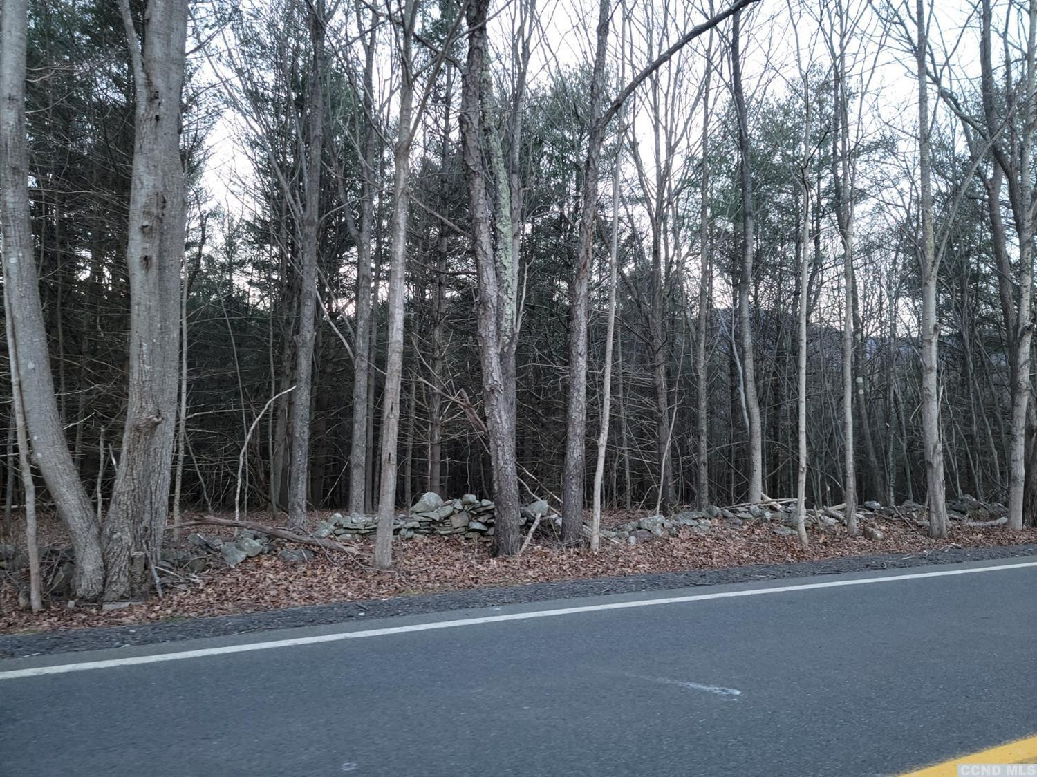 0 Hearts Content Road Round Top, NY 12473 - Photo 10 of 10 a view of a door in the forest