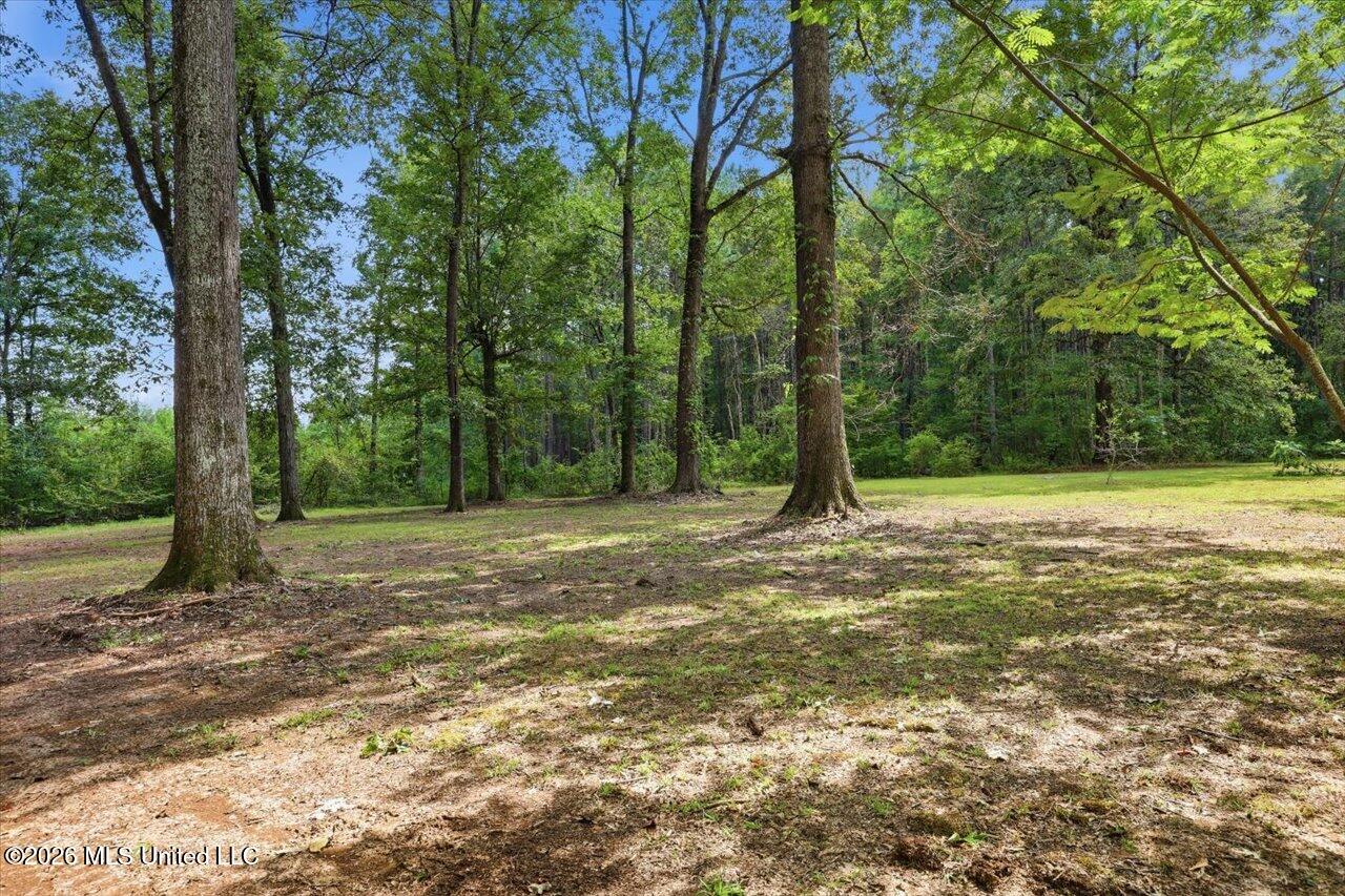 301 Maple Street Florence, MS 39073 - Photo 4 of 30 Beautiful Back Yard