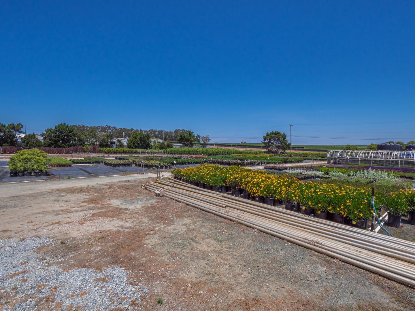 248 Bluff Road Moss Landing, CA 95039 - Photo 19 of 24 Gallery Image 19