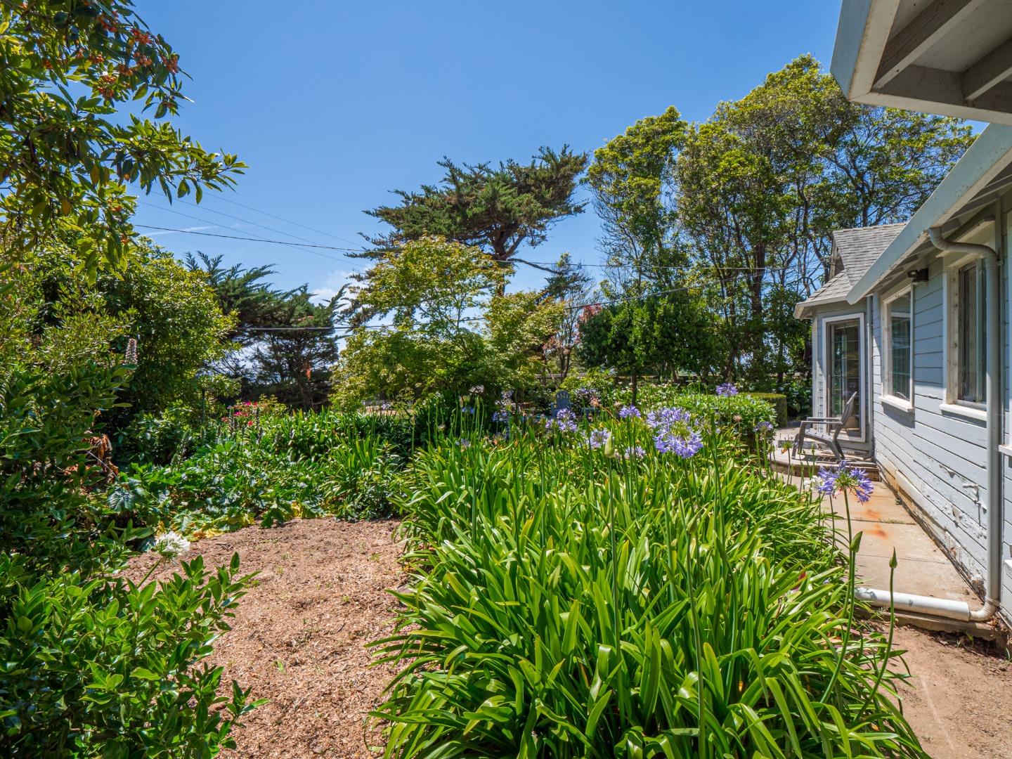 248 Bluff Road Moss Landing, CA 95039 - Photo 4 of 24 Gallery Image 4