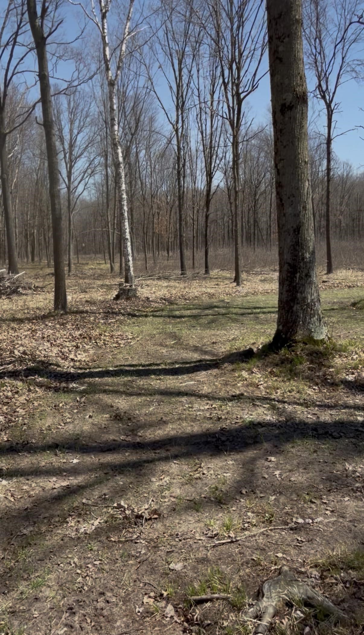 491 East Big Stone Lake Road Lake, MI 48632 - Photo 31 of 31
