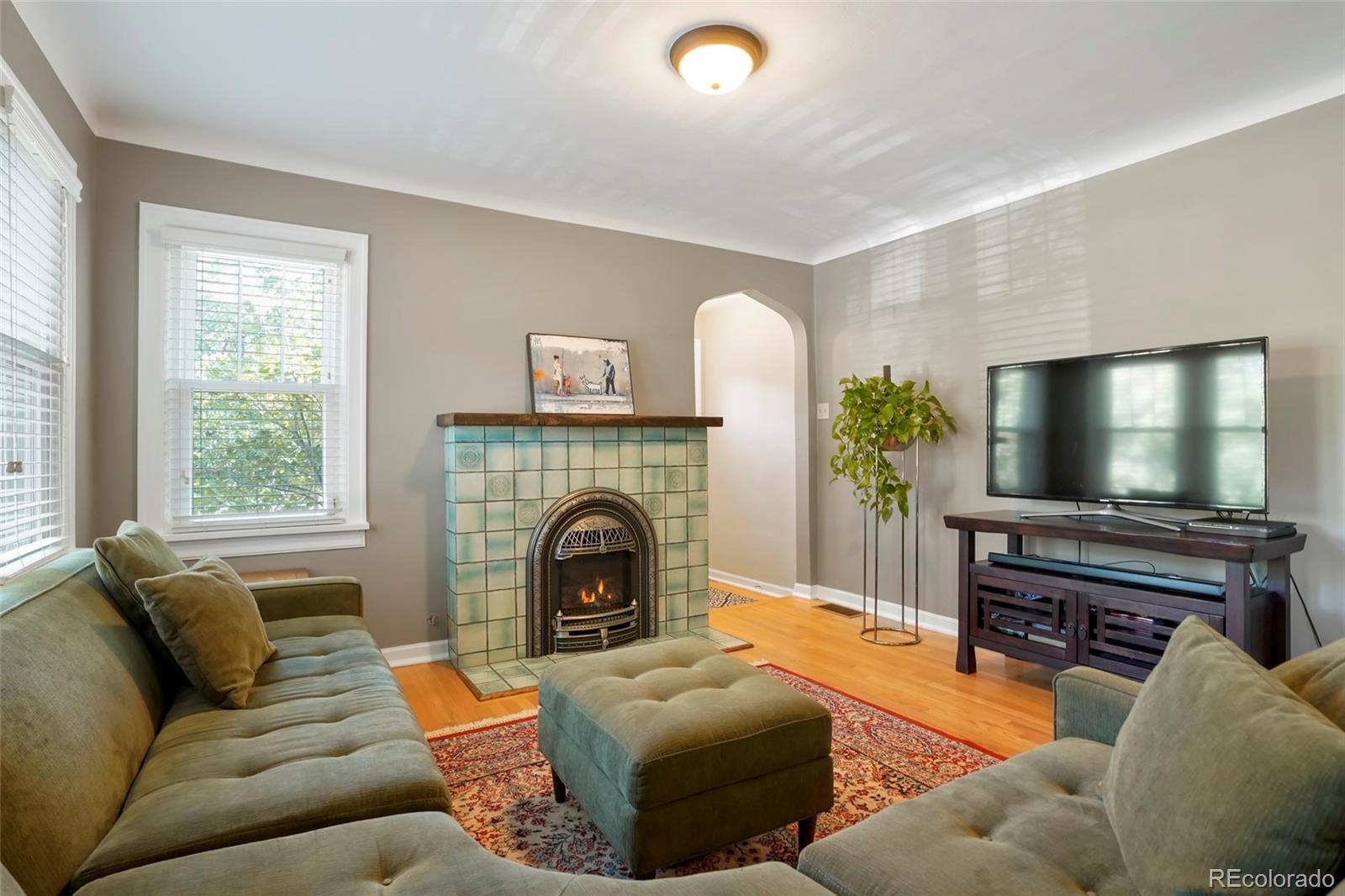 1175 Cook Street Denver, CO 80206 - Photo 6 of 42 a living room with furniture a flat screen tv and a fireplace
