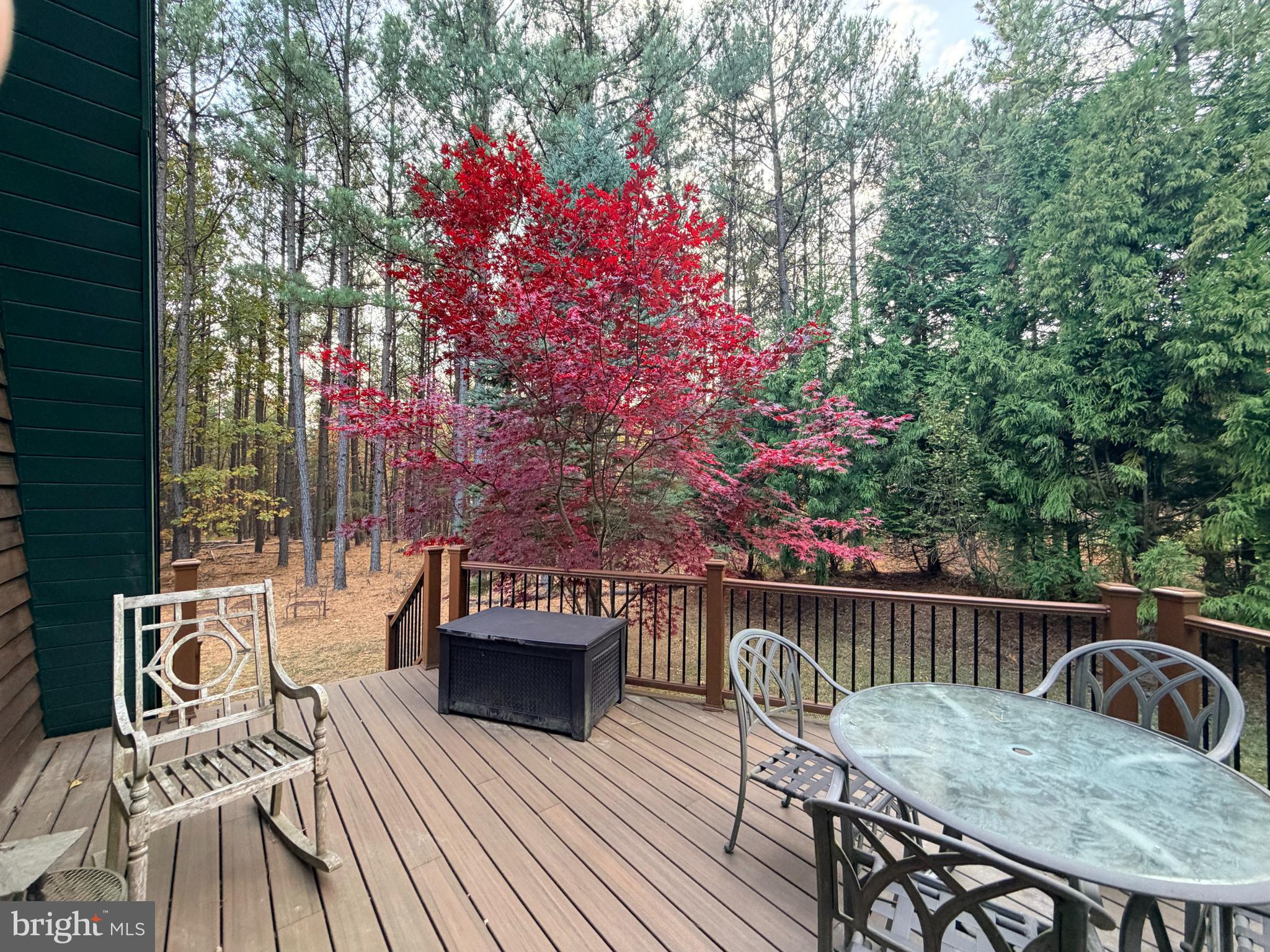 4839 Graces Cabin Road Romney, WV 26757 - Photo 15 of 24