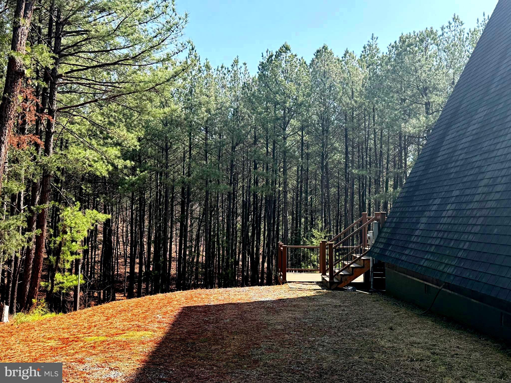 4839 Graces Cabin Road Romney, WV 26757 - Photo 20 of 24