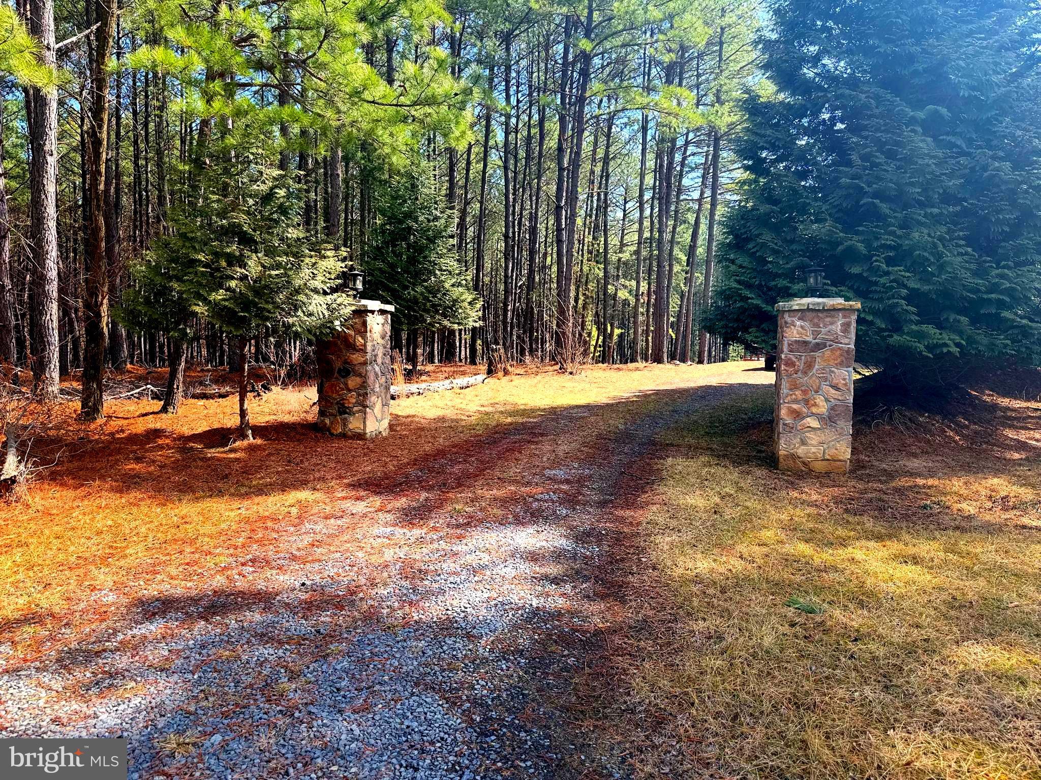 4839 Graces Cabin Road Romney, WV 26757 - Photo 3 of 24