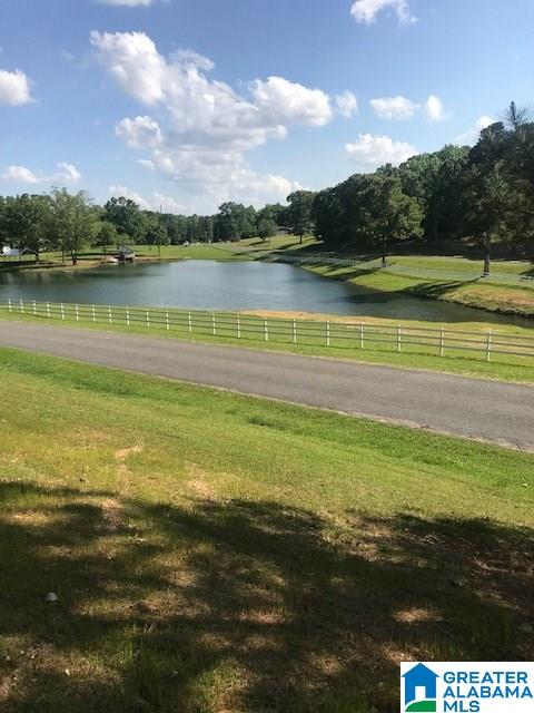 650 Copper Springs Road Odenville, AL 35120 - Photo 27 of 29