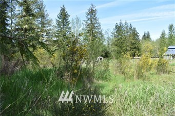 325 Hansen Road Toutle, WA 98649 - Photo 3 of 3