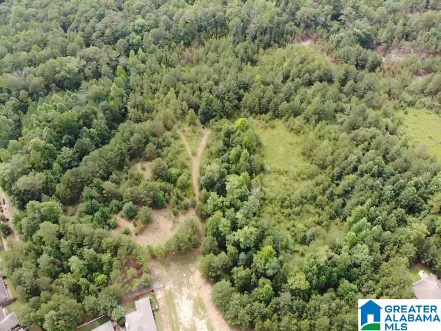 992 Narrows Point Drive, Unit 2 Birmingham, AL 35242 - Photo 3 of 6