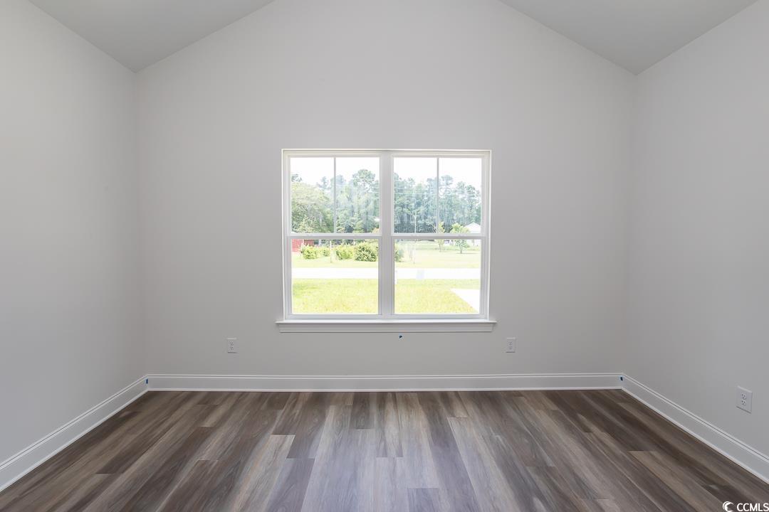 3858 Red Bluff Road Loris, SC 29569 - Photo 14 of 29 Unfurnished room with dark hardwood / wood-style f