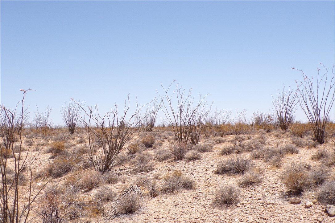 245-24-125 Rainbow Road Yucca, AZ 86438 - Photo 16 of 16 a view of a dry yard
