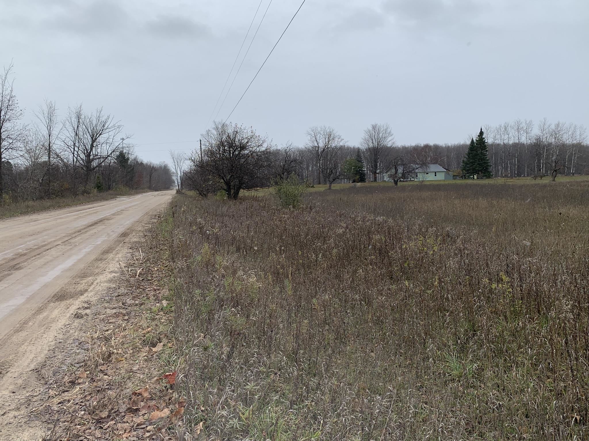 7443 Brady Road, Unit LOT: 3 Onaway, MI 49765 - Photo 8 of 17 Gallery Image 8
