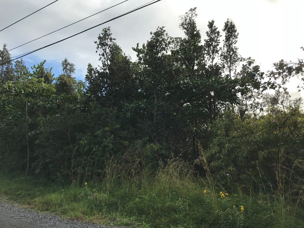 98 Ama U Road Keaau, HI 96749 - Photo 2 of 5 Gallery Image 2