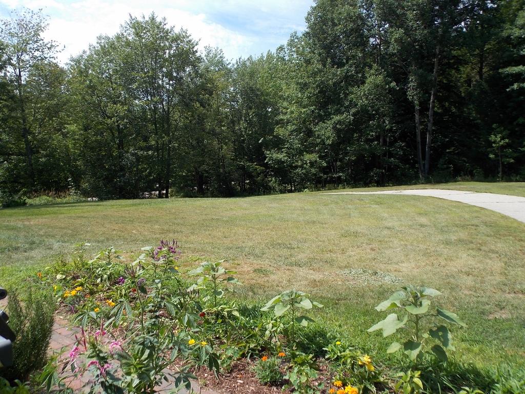 1117 Eaton Road Conway, NH 03818 - Photo 25 of 28