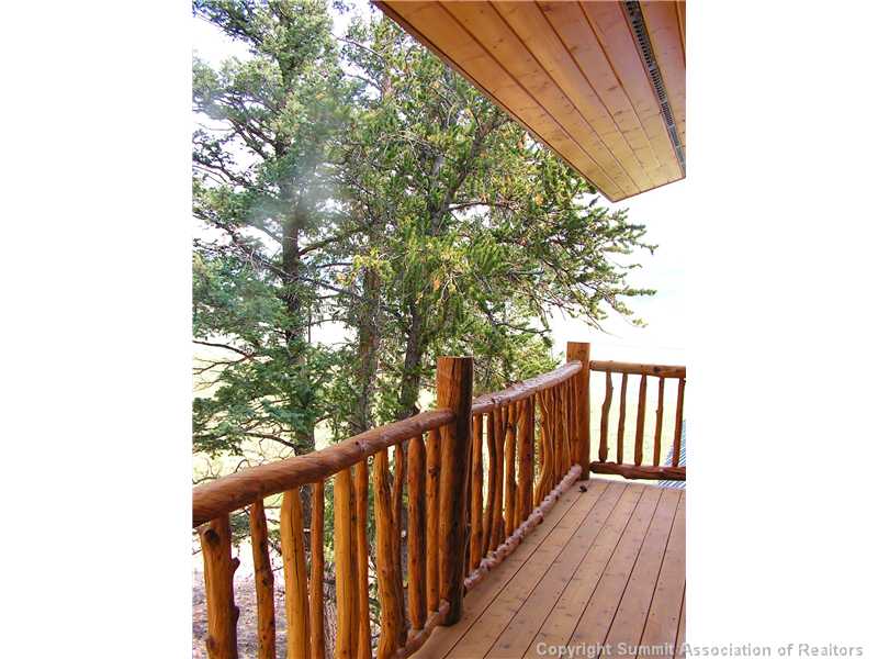 1610 Redhill Road Fairplay, CO 80440 - Photo 10 of 25 Other. The loft deck gives you a feeling of being in a treehouse!!