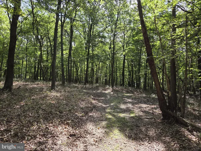 a view of outdoor space with lots of trees