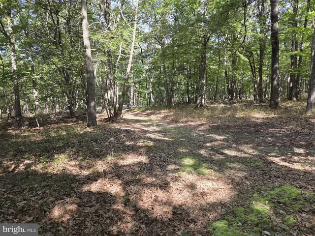 a view of outdoor space with trees