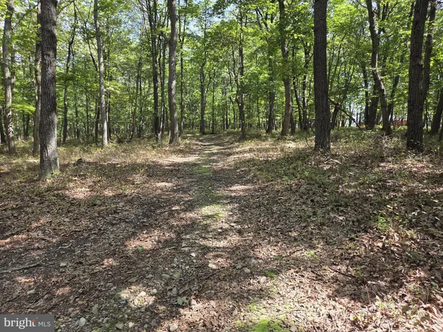 a view of outdoor space with green space