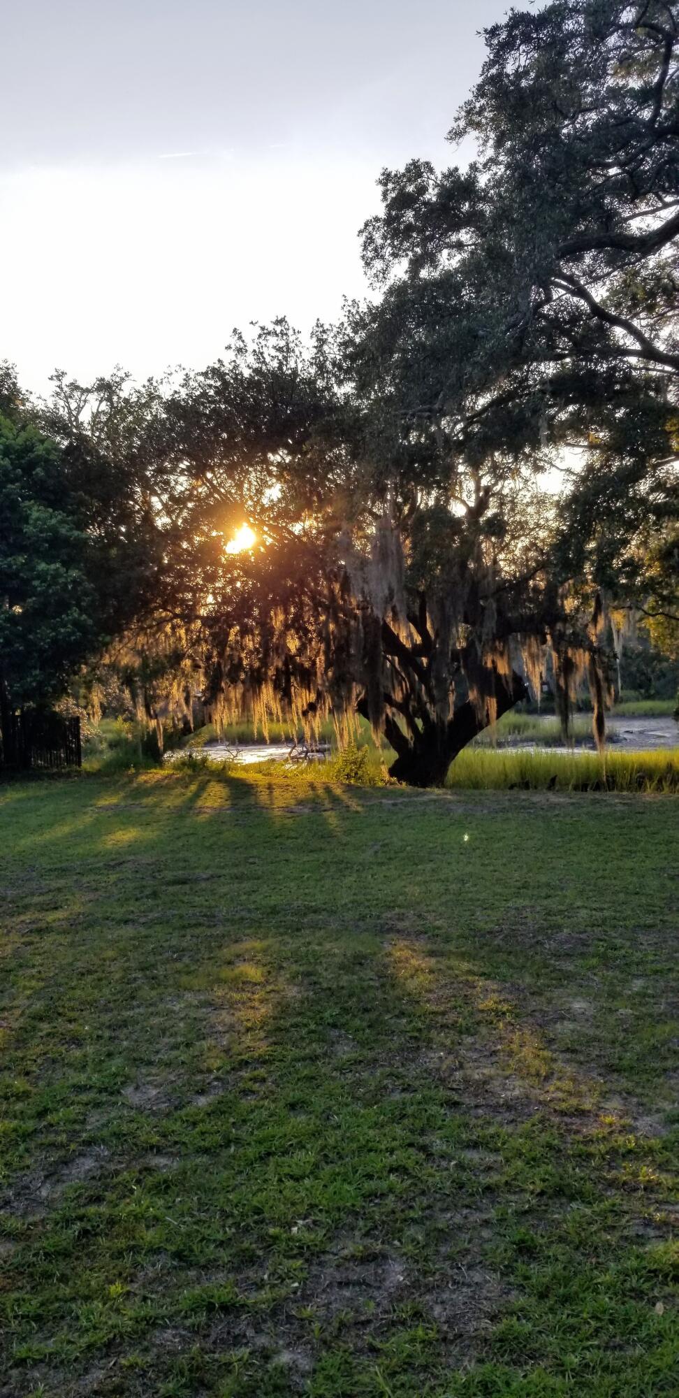 52 Chadwick Drive Charleston, SC 29407 - Photo 6 of 13 Summer sunset