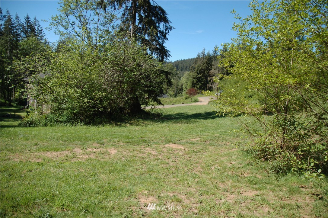 114 Sunny Basin Road Castle Rock, WA 98611 - Photo 3 of 10 Gallery Image 3