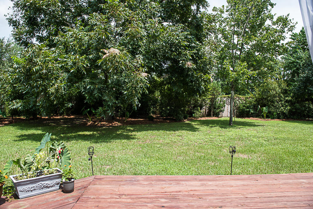 845 Detyens Road Mount Pleasant, SC 29464 - Photo 25 of 27 Backyard 2