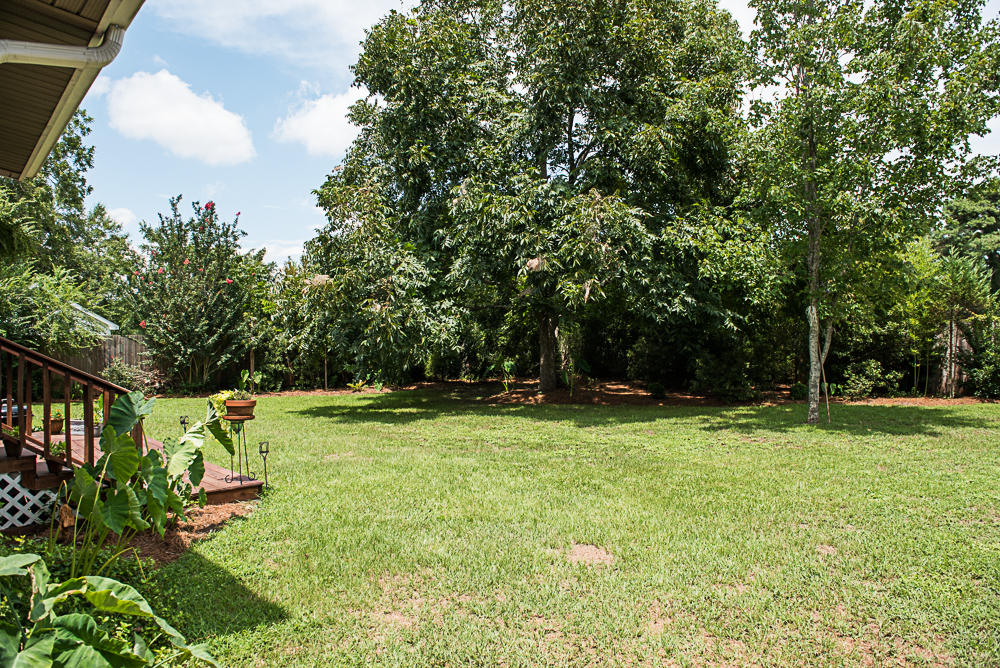 845 Detyens Road Mount Pleasant, SC 29464 - Photo 26 of 27 Backyard
