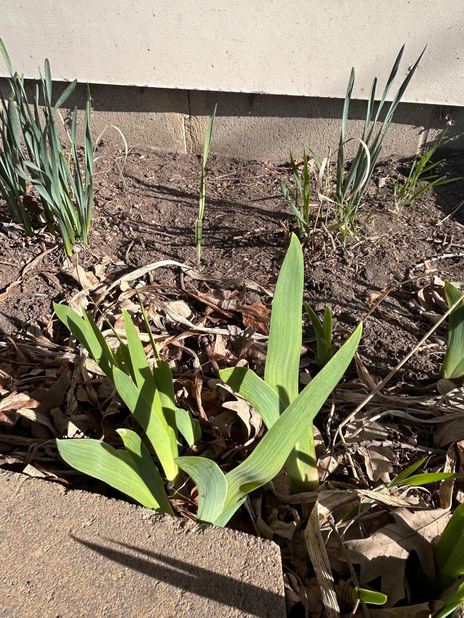 549 23rd Street East Milaca, MN 56353 - Photo 36 of 47